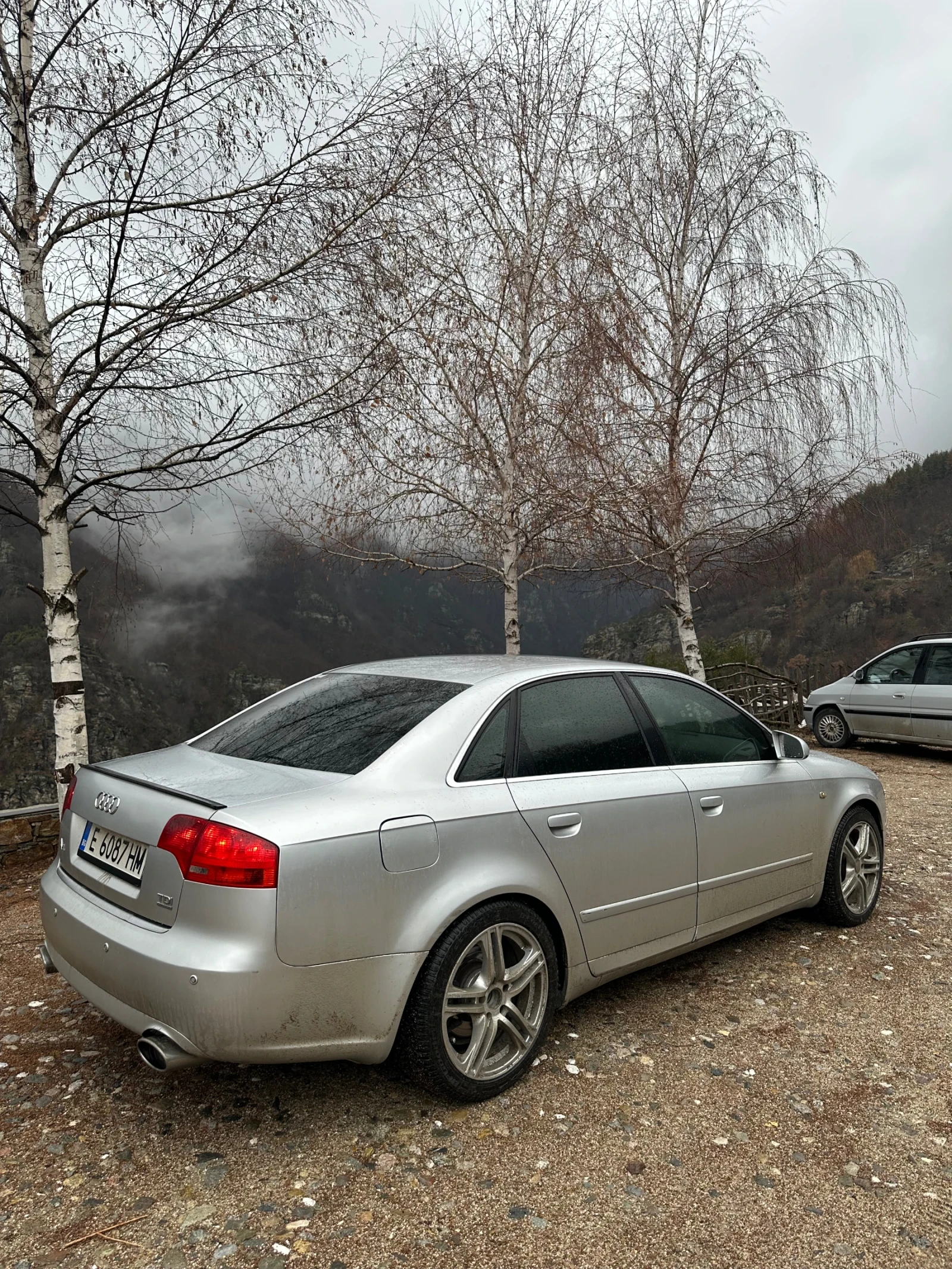 Audi A4  - изображение 2