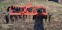 Обява за продажба на Трактор Kioti Daedong ~16 800 лв. - изображение 5