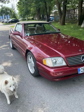 Mercedes-Benz SL 500 undefined | Auto.bg — изображение 13
