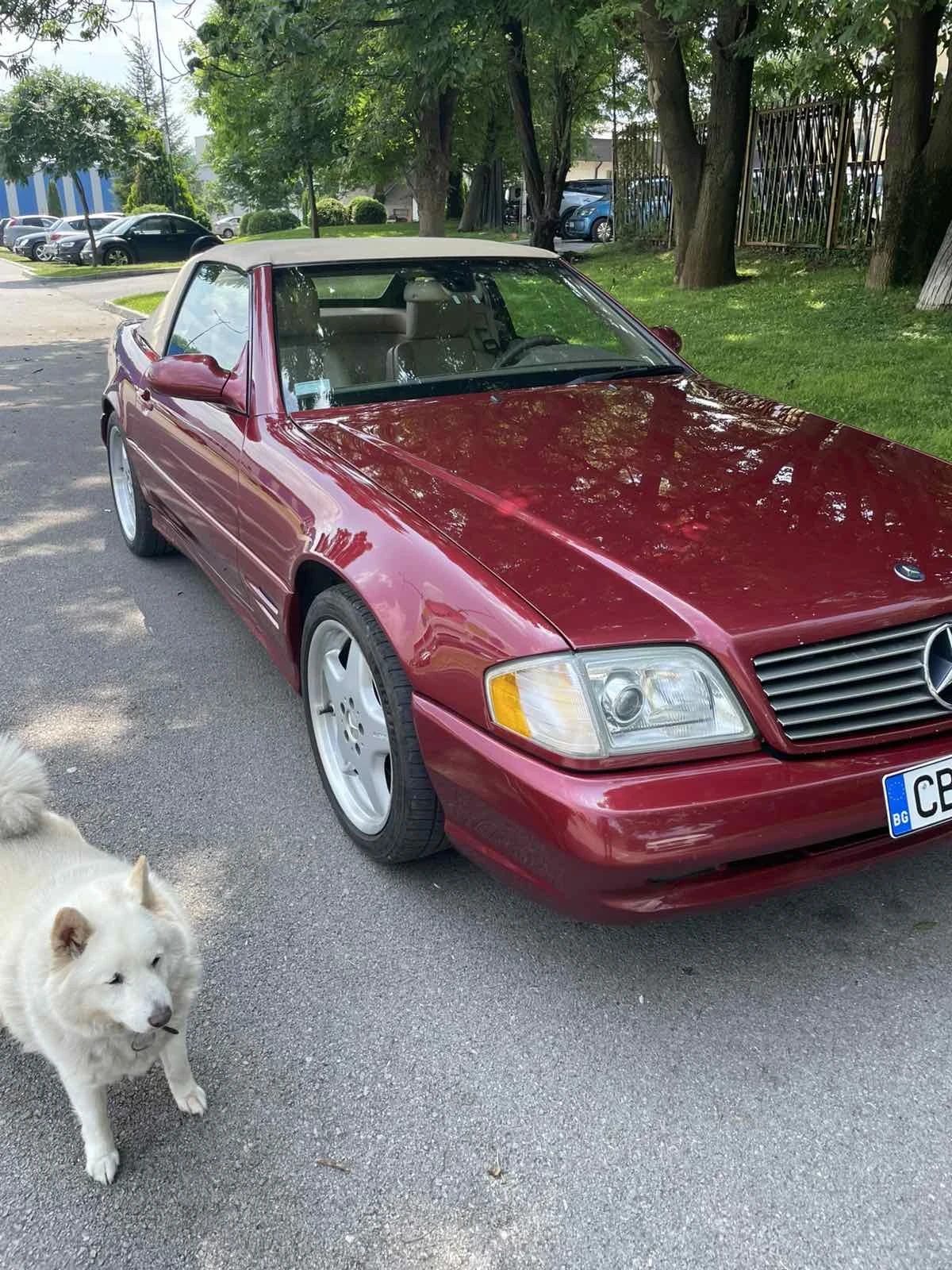 Mercedes-Benz SL 500, снимка 13 - Автомобили и джипове - 55079666