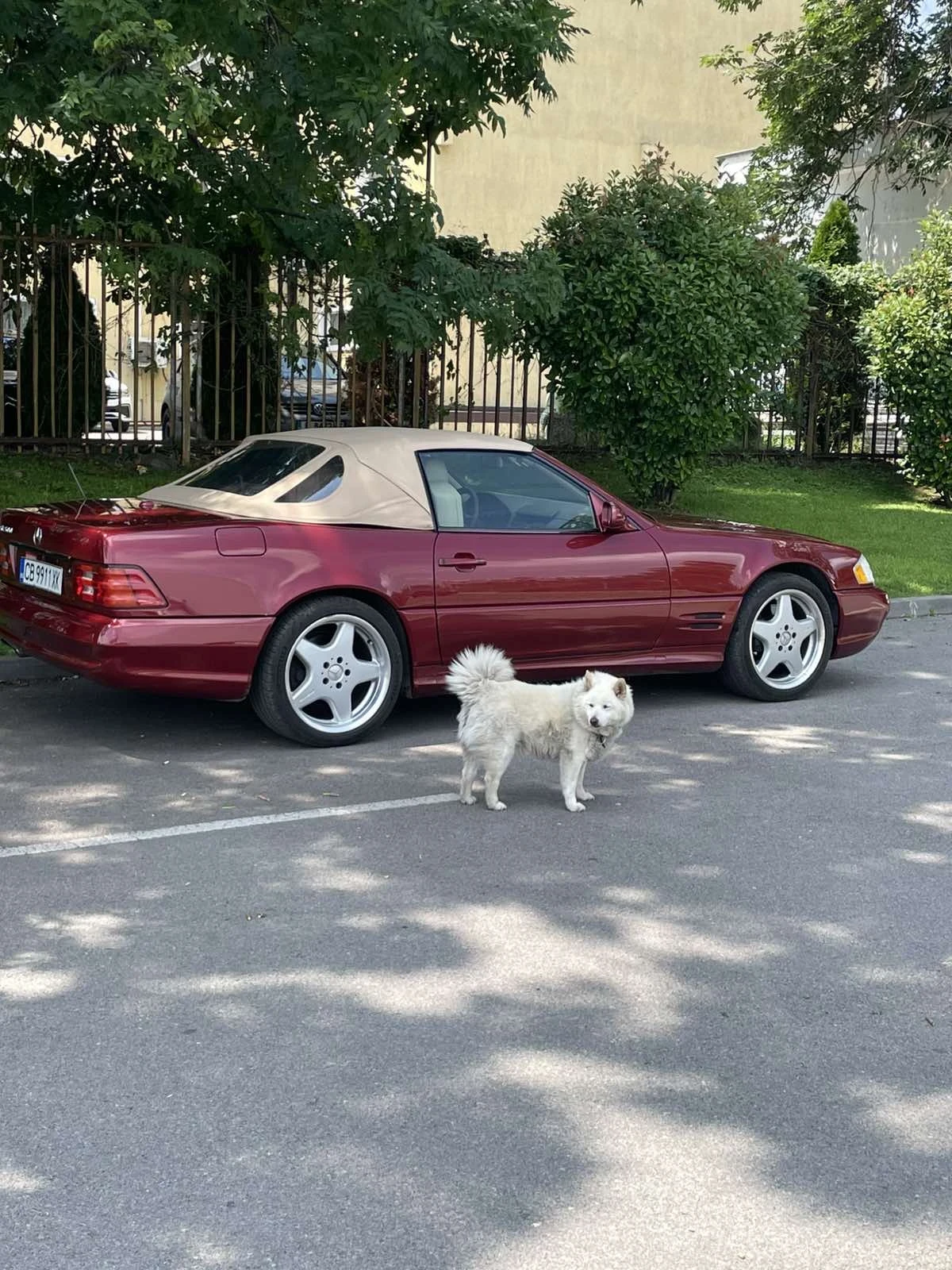 Mercedes-Benz SL 500, снимка 15 - Автомобили и джипове - 55079666