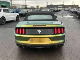 Ford Mustang  V6 /CARFAX/CAMERA/��������/����������  | Mobile.bg � ����� ������ 4