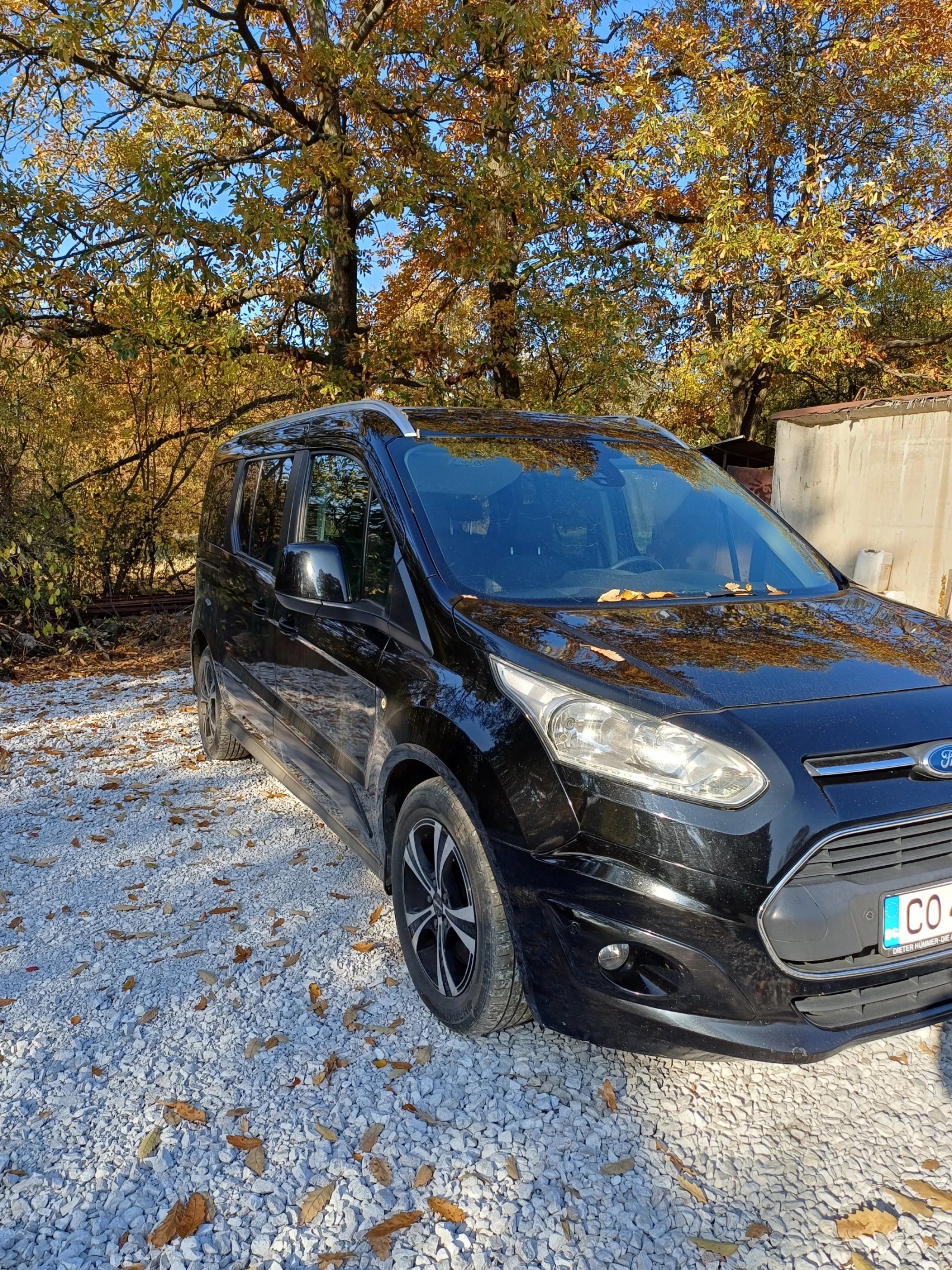 Ford Connect Торнео Макси - изображение 4