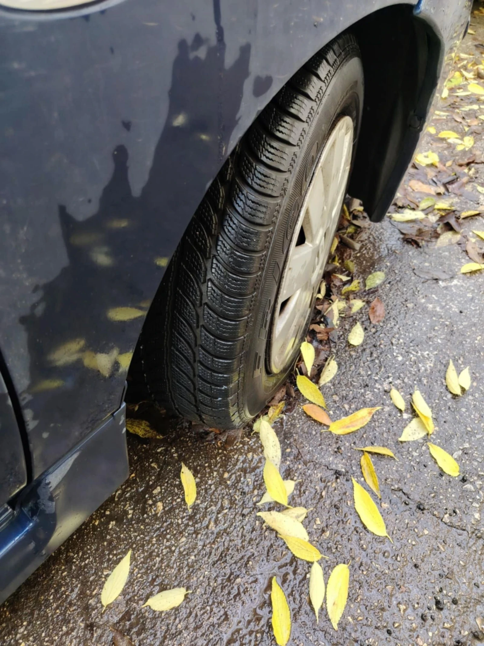 Suzuki Liana | Mobile.bg � ����������� 4