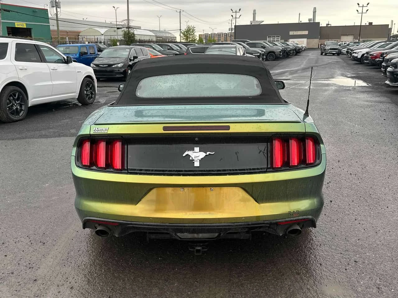 Ford Mustang  V6 /CARFAX/CAMERA/��������/����������  | Mobile.bg � ����������� 4