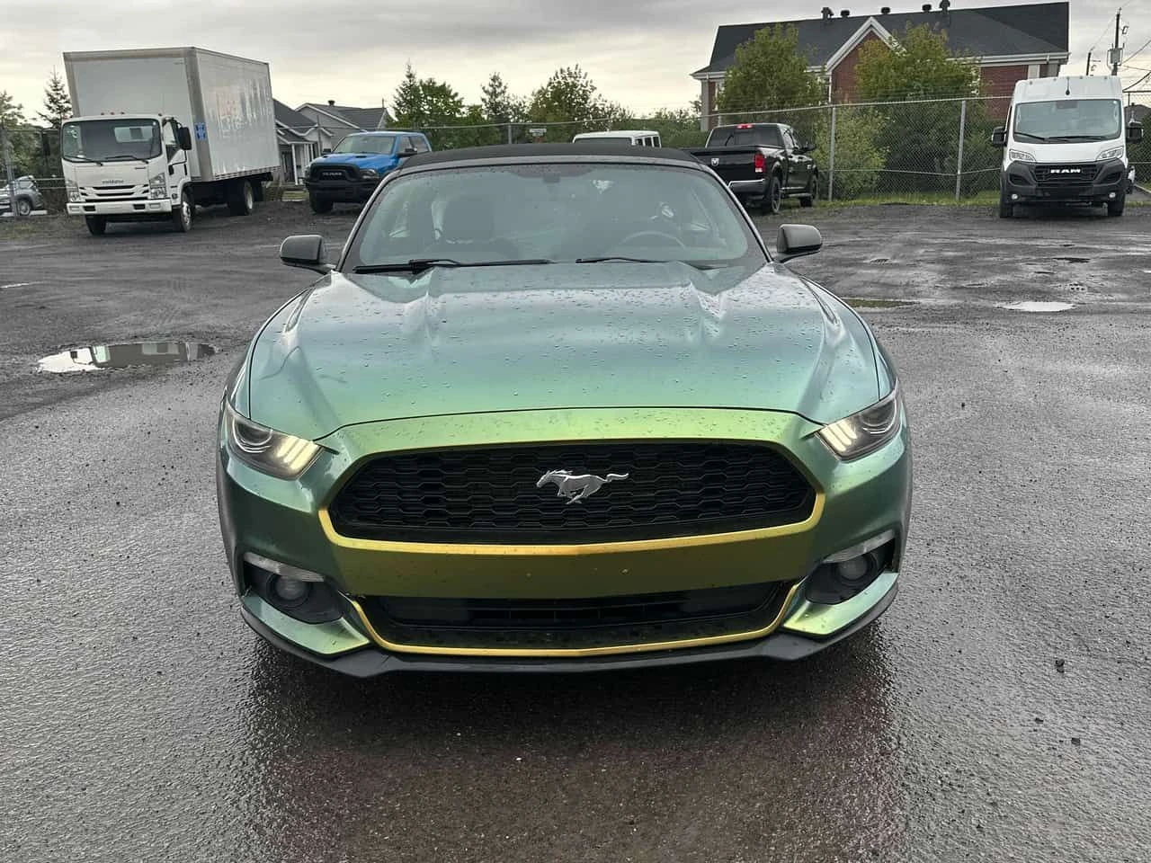 Ford Mustang  V6 /CARFAX/CAMERA/��������/����������  | Mobile.bg � ����������� 6