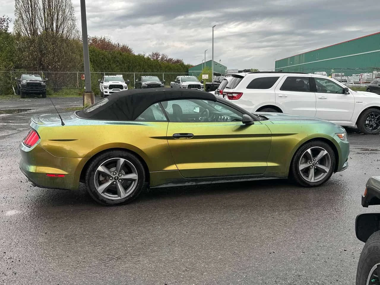 Ford Mustang  V6 /CARFAX/CAMERA/��������/����������  | Mobile.bg � ����������� 3