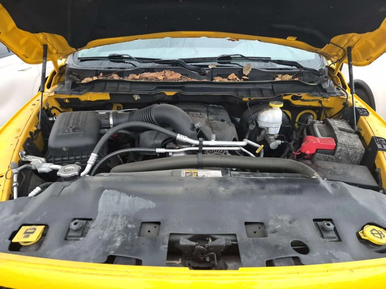 Dodge RAM 1500 * 4x4 Crew Cab 5'7" Box Express Crew Cab  | Mobile.bg � ����������� 17