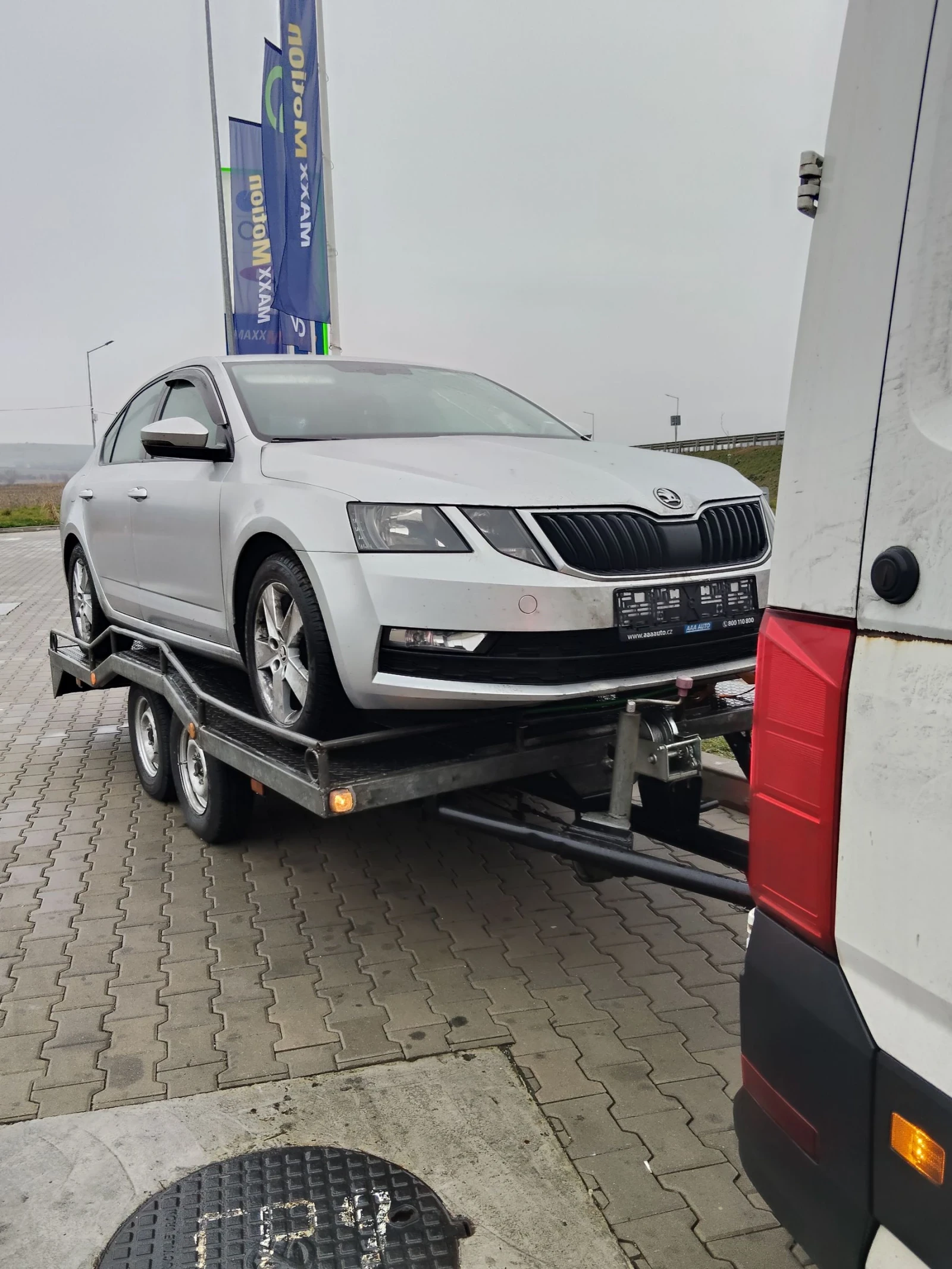 Man TGE | Mobile.bg � ����������� 15