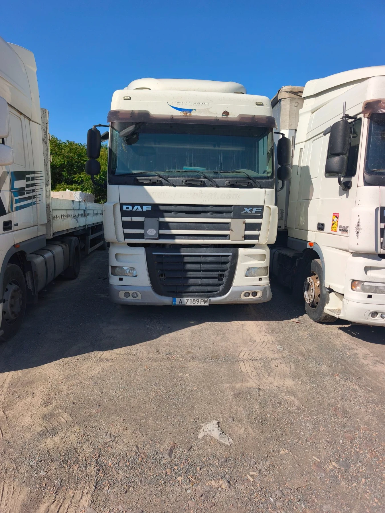 Daf XF 105 FT | Mobile.bg � ����������� 6