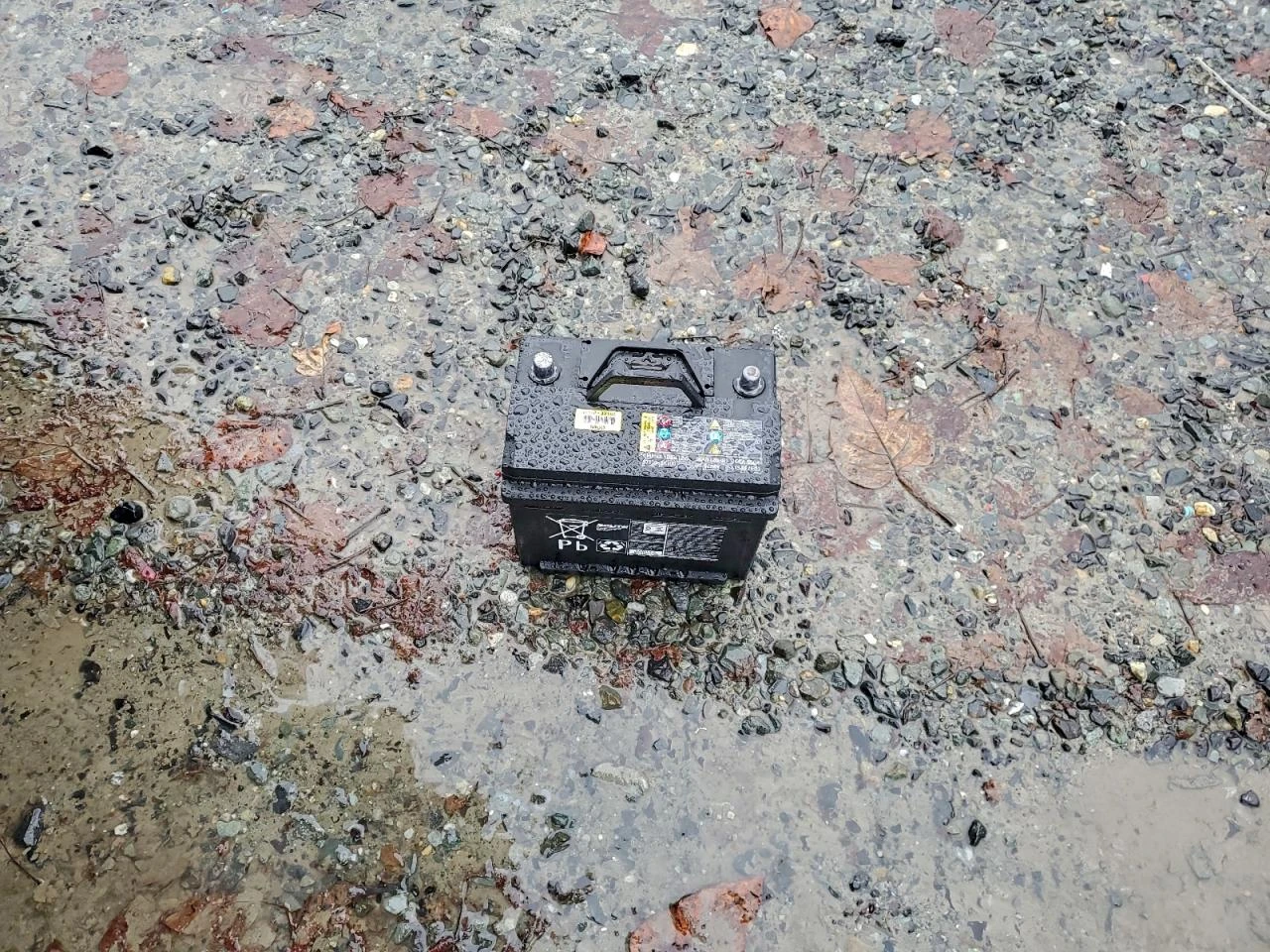 Hyundai Ioniq 5 SEL*  | Mobile.bg � ����������� 13