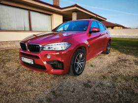     BMW X6 X6M