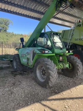       Merlo