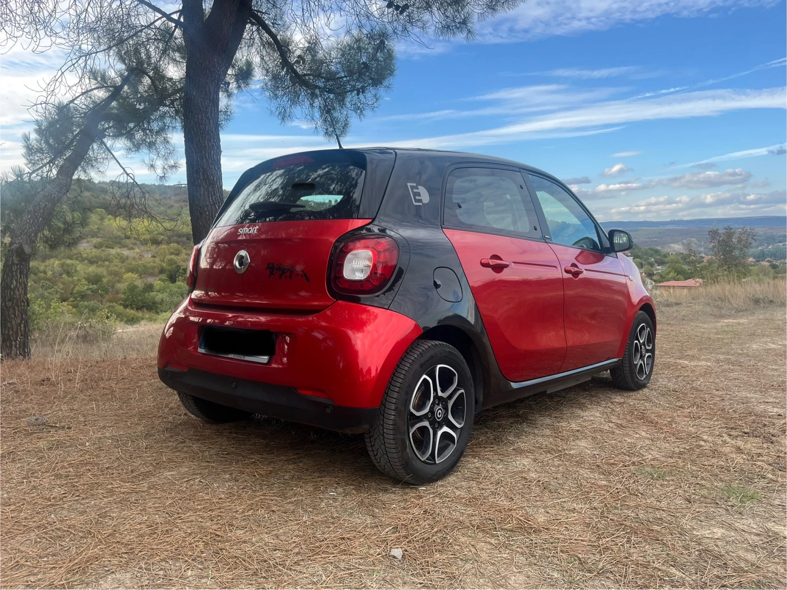 Smart Forfour EQ - изображение 4