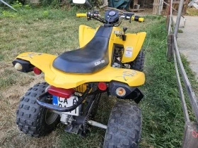 Can-Am DS  250, снимка 3