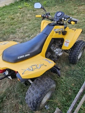 Can-Am DS  250, снимка 5