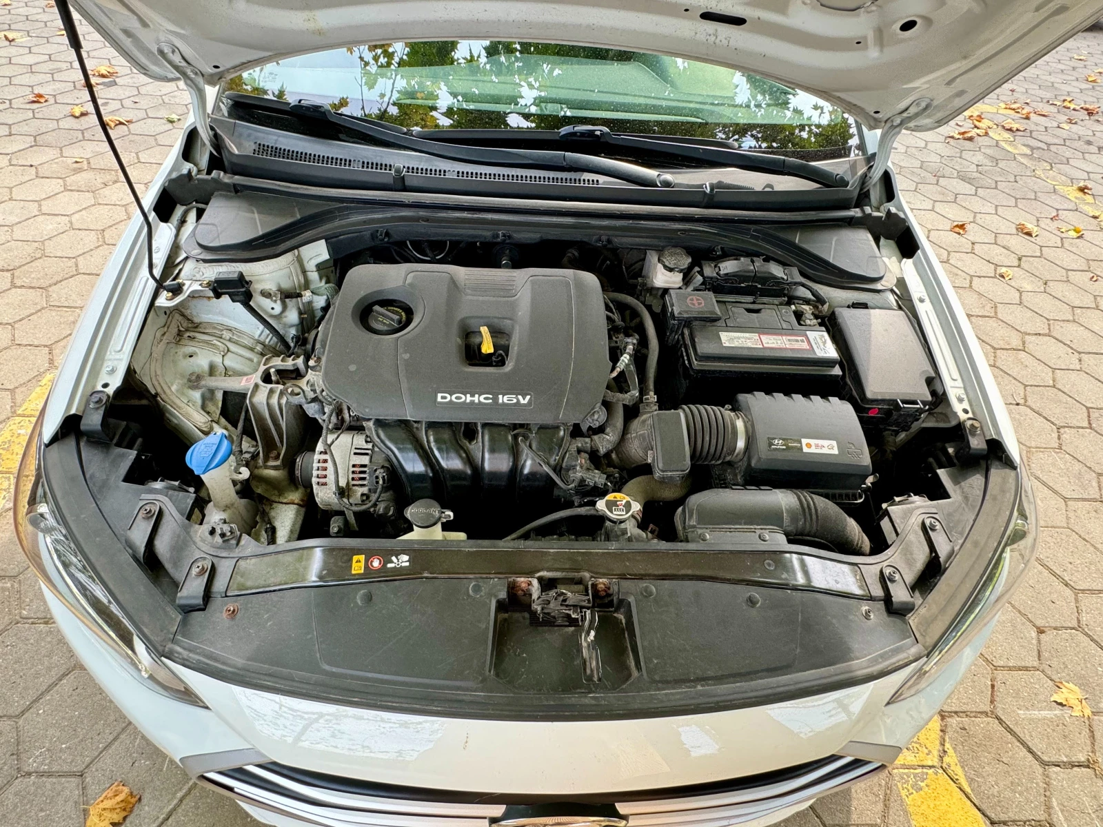 Hyundai Elantra ������ 45700�� | Mobile.bg � ����������� 13