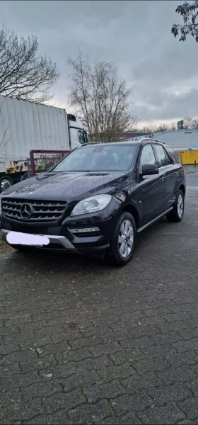     Mercedes-Benz ML 250