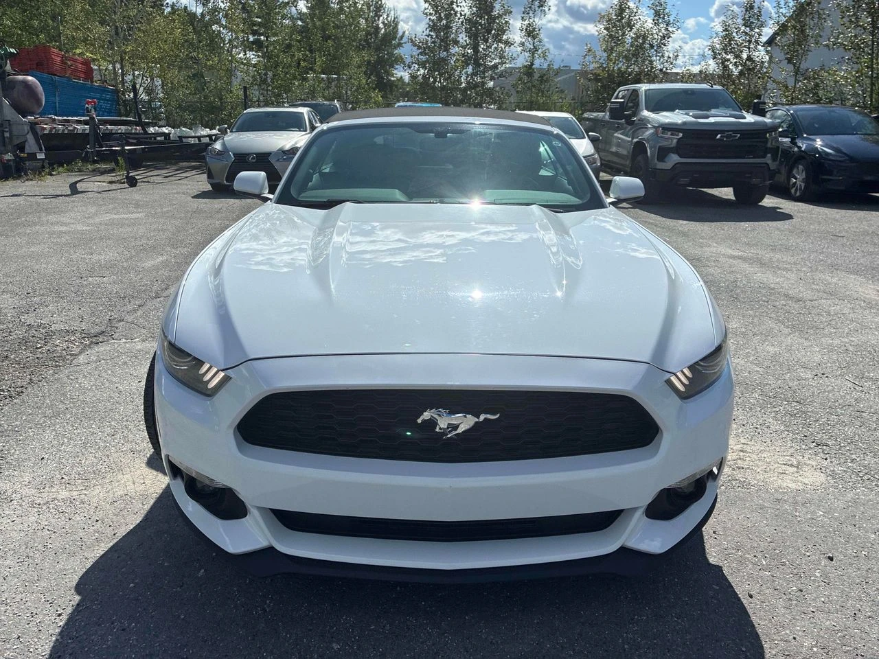 Ford Mustang V6, снимка 5 - Автомобили и джипове - 55804547