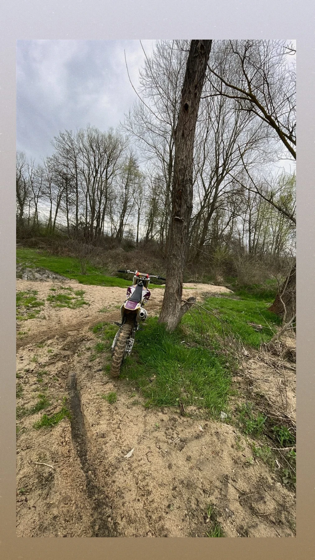 Suzuki Rmz | Mobile.bg � ����������� 2