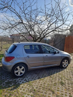  Peugeot 307