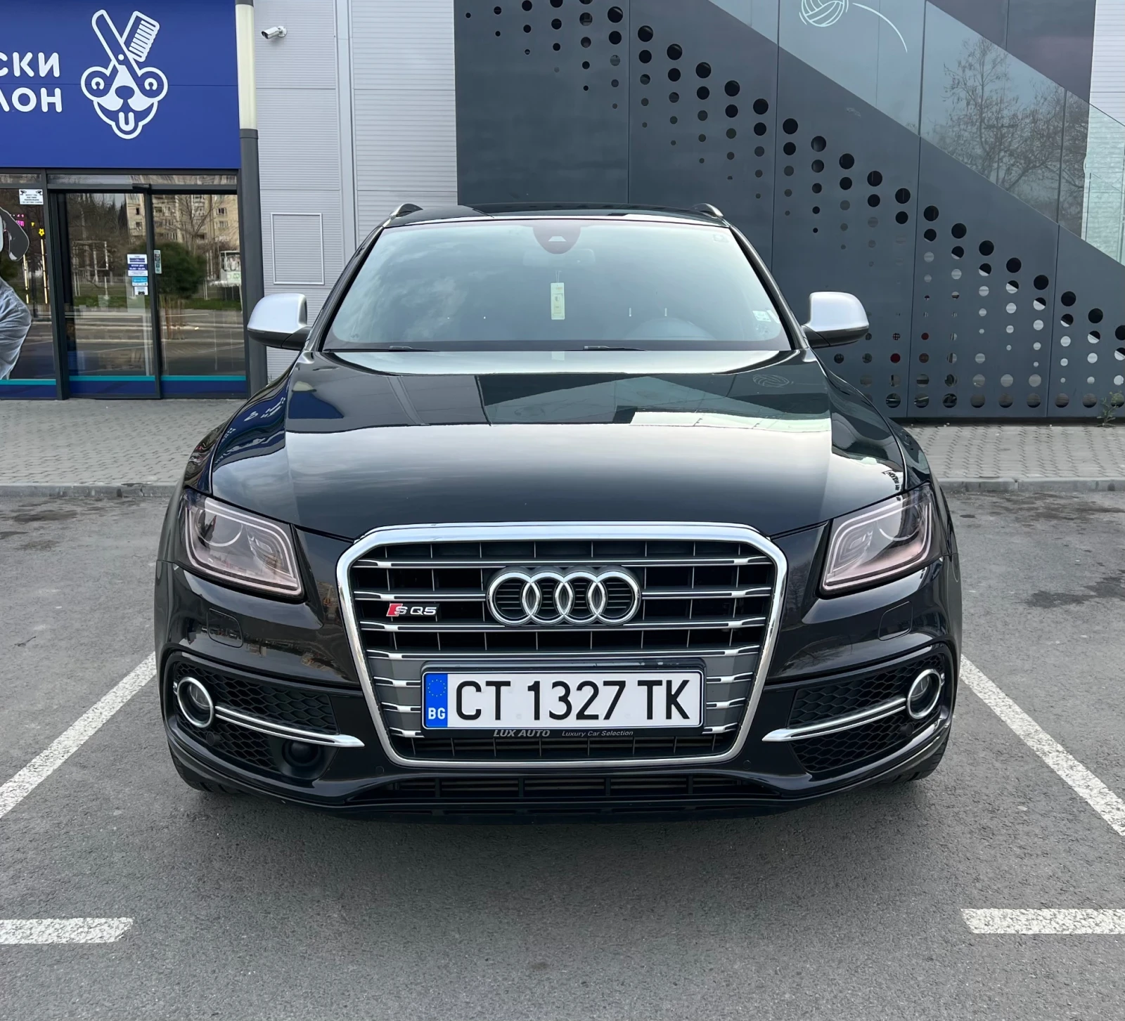 Audi SQ5 3.0bi-TDi//313ps// - изображение 5