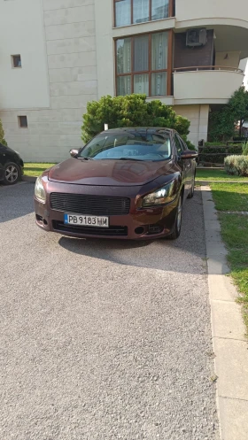 ����� �� �������� �� Nissan Maxima 3.5 V6 290 �.�.