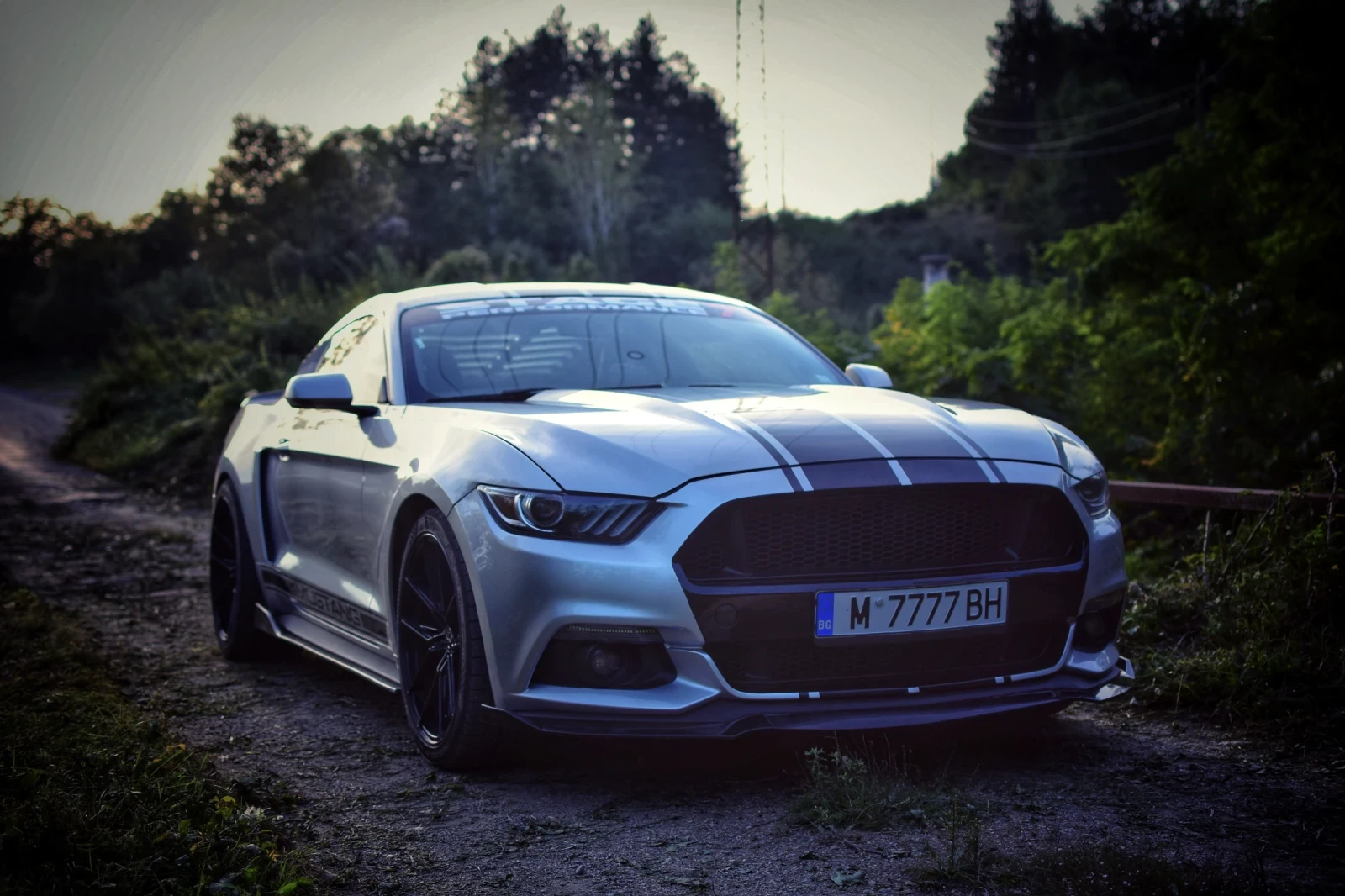 Ford Mustang ECOBOS 2.3 - изображение 5