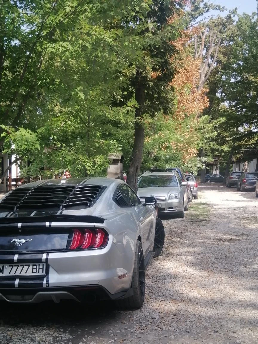 Ford Mustang ECOBOS 2.3 - изображение 2