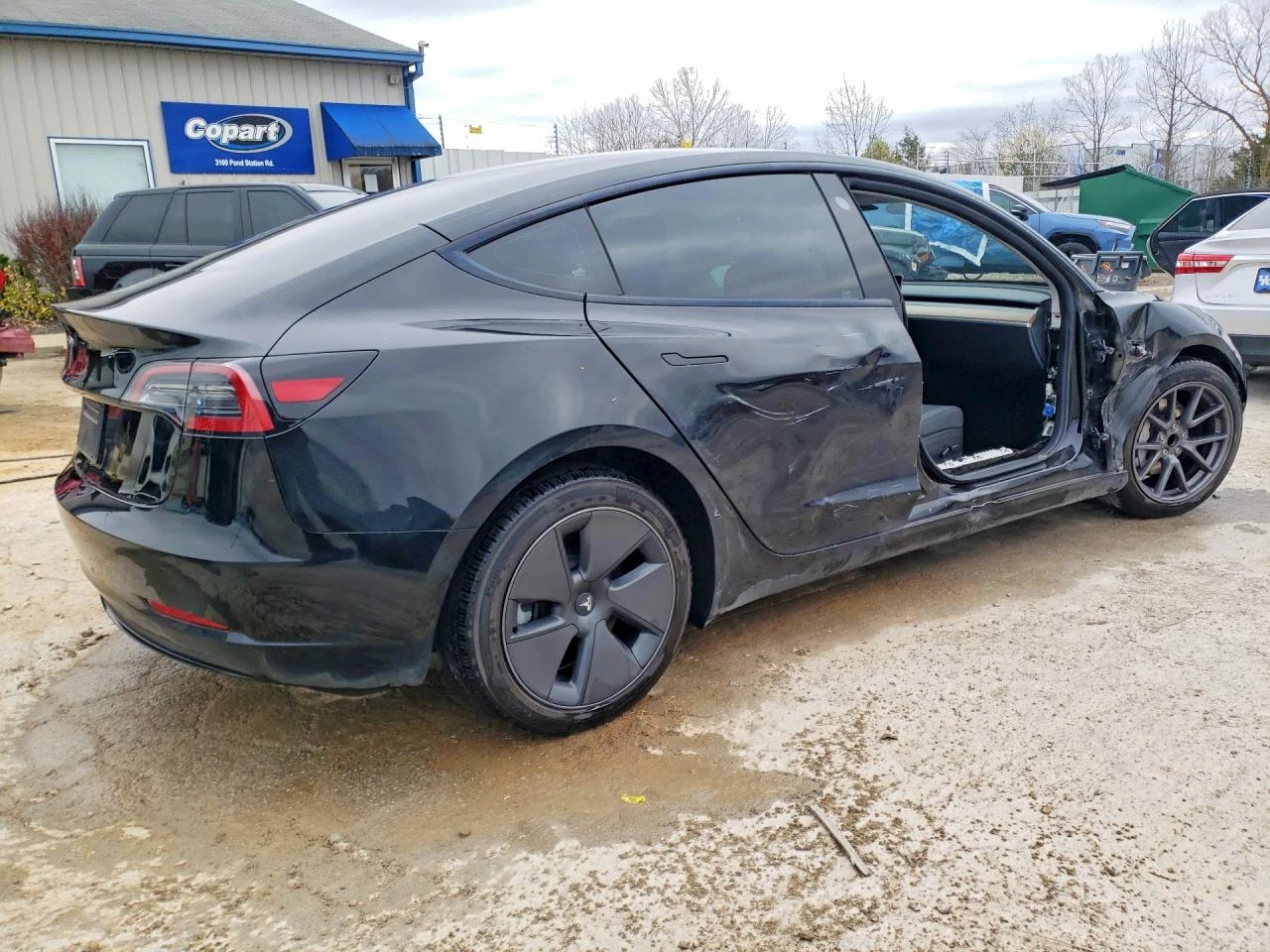 Tesla Model 3, снимка 3 - Автомобили и джипове - 54647713