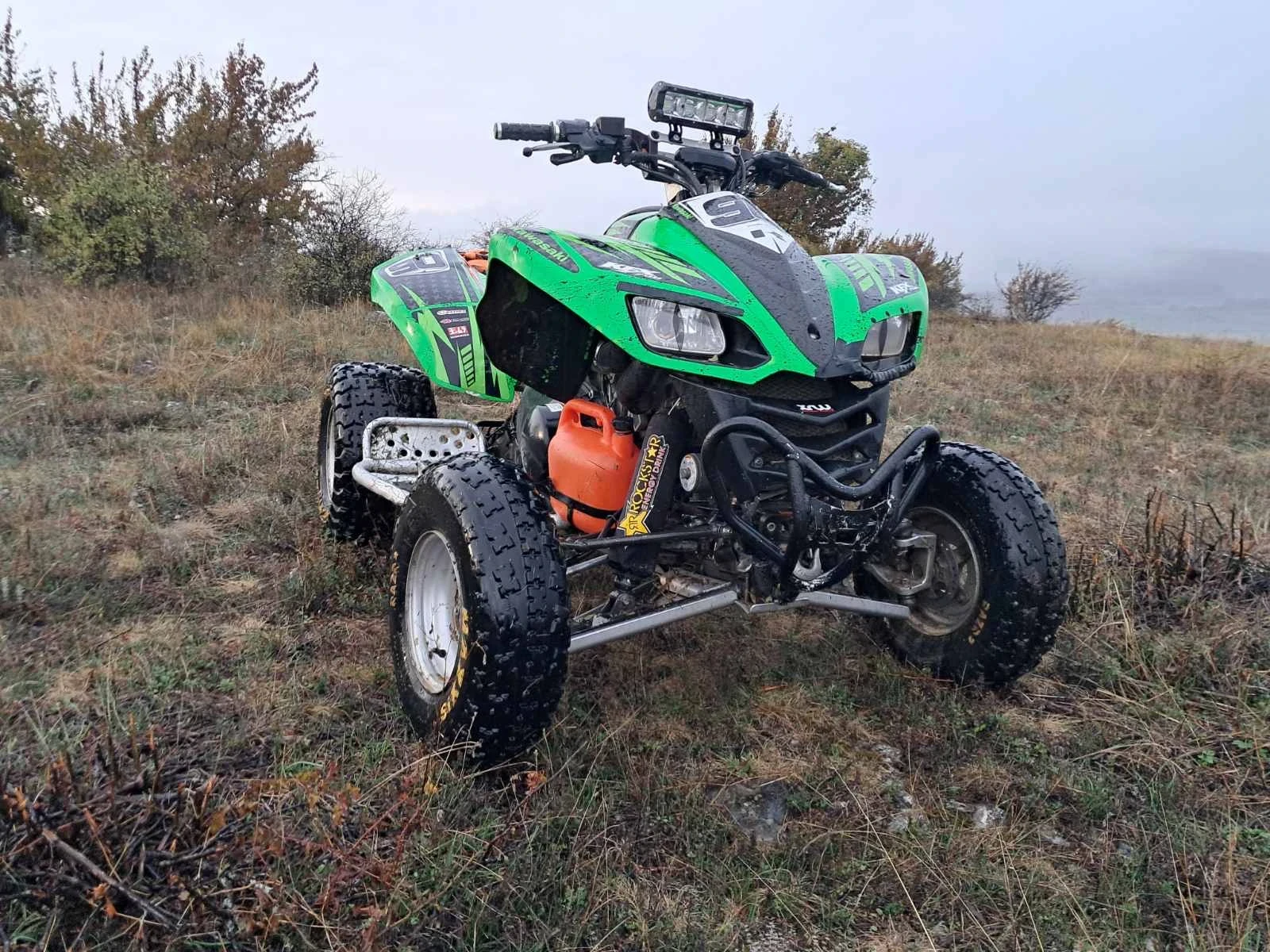 Kawasaki Kfx  - изображение 8