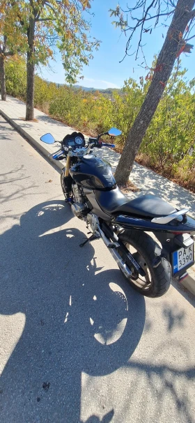 Honda Hornet 600 | Auto.bg — изображение 5