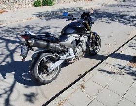 Honda Hornet 600 | Auto.bg — изображение 2