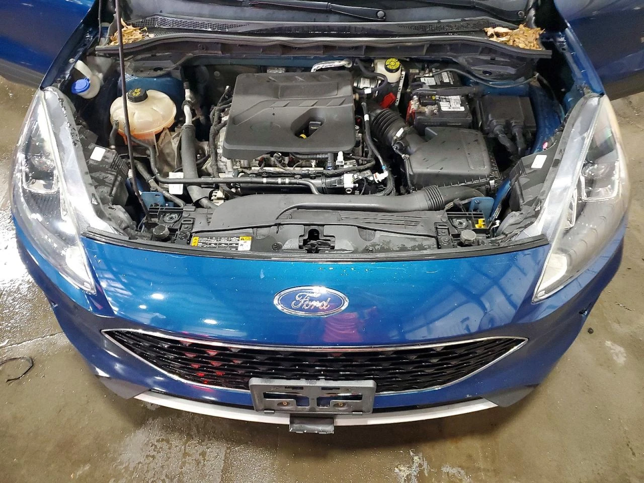Ford Escape 1.5l Se | Mobile.bg � ����������� 12