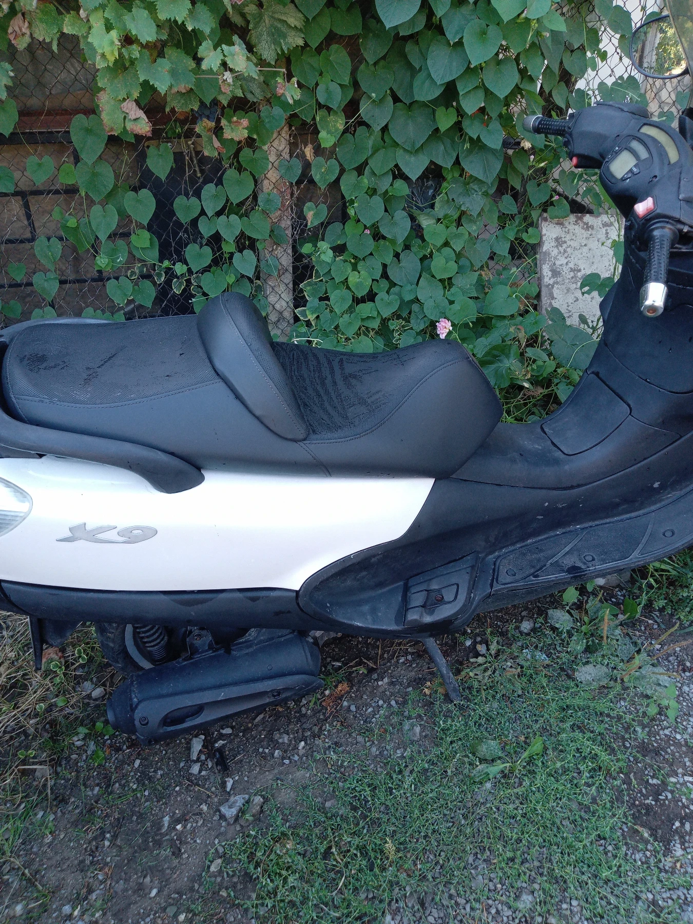 Piaggio X9  - изображение 4