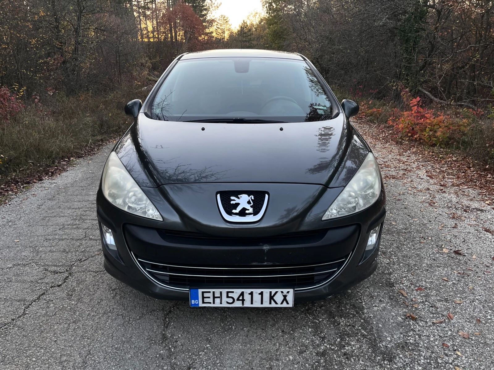 Peugeot 308, снимка 1