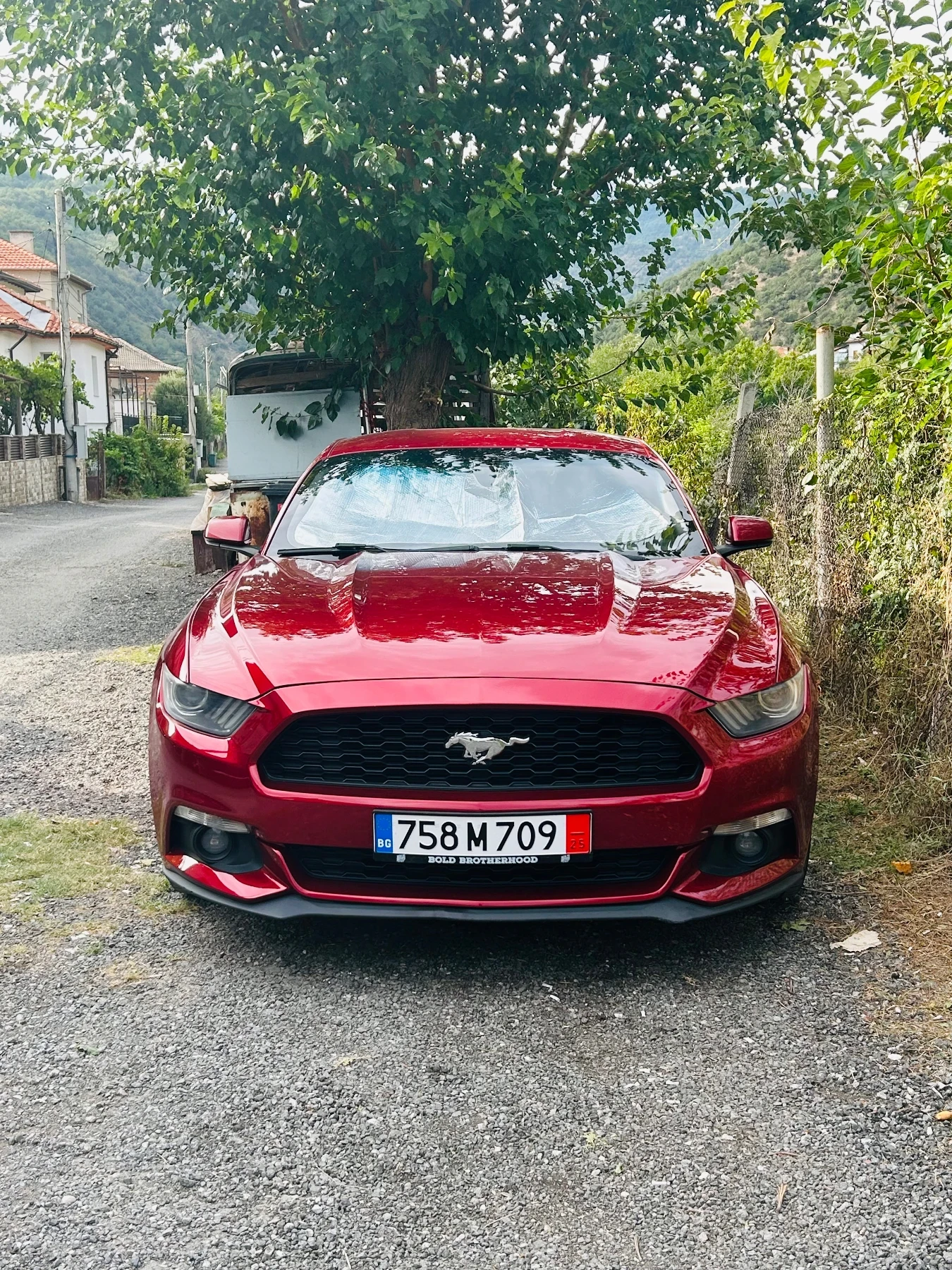 Ford Mustang | Mobile.bg � ����������� 3