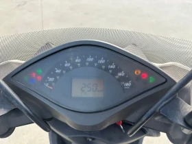 Malaguti Password 250cc, снимка 6