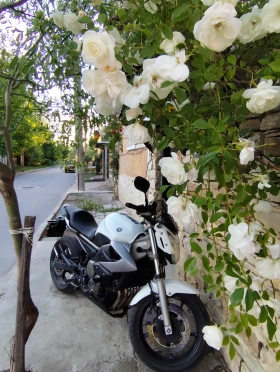 Yamaha XJ6 | Mobile.bg � ����� ������ 5