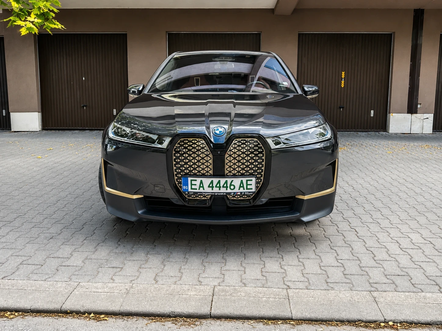 BMW iX xDrive40, 22 , Laser, HKardon, Sky Lounge, 4-zone