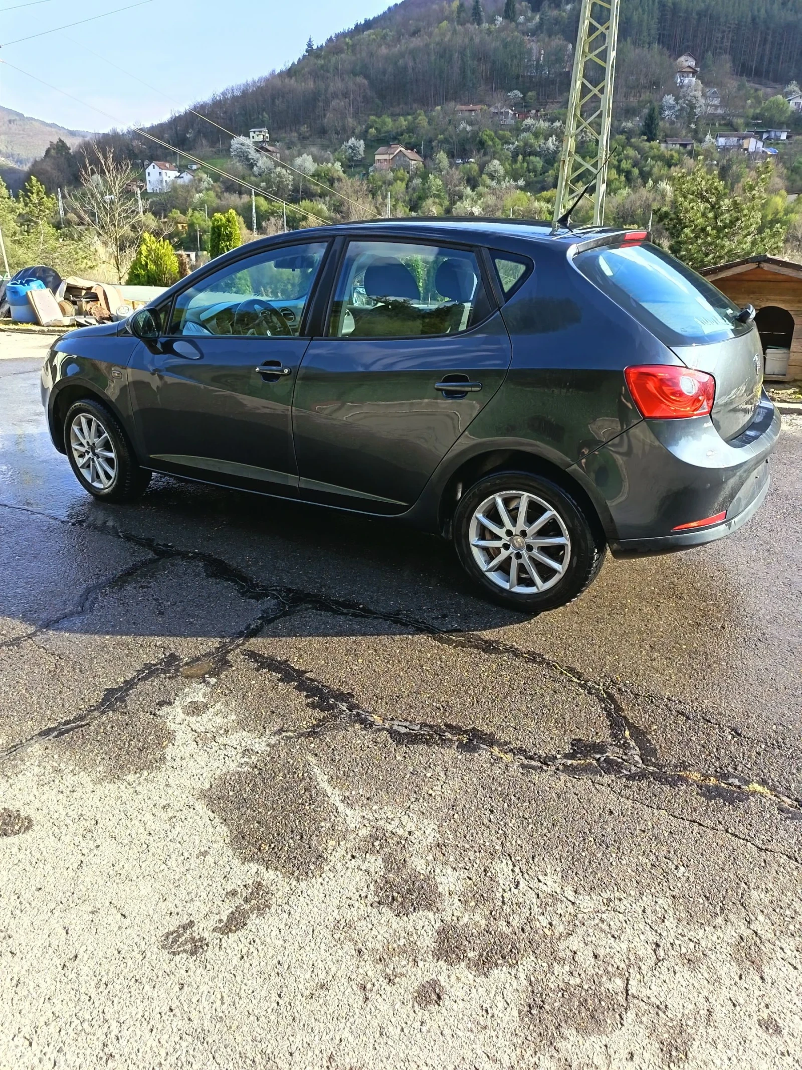 Seat Ibiza 1.6TDI, снимка 3 - Автомобили и джипове - 54229902