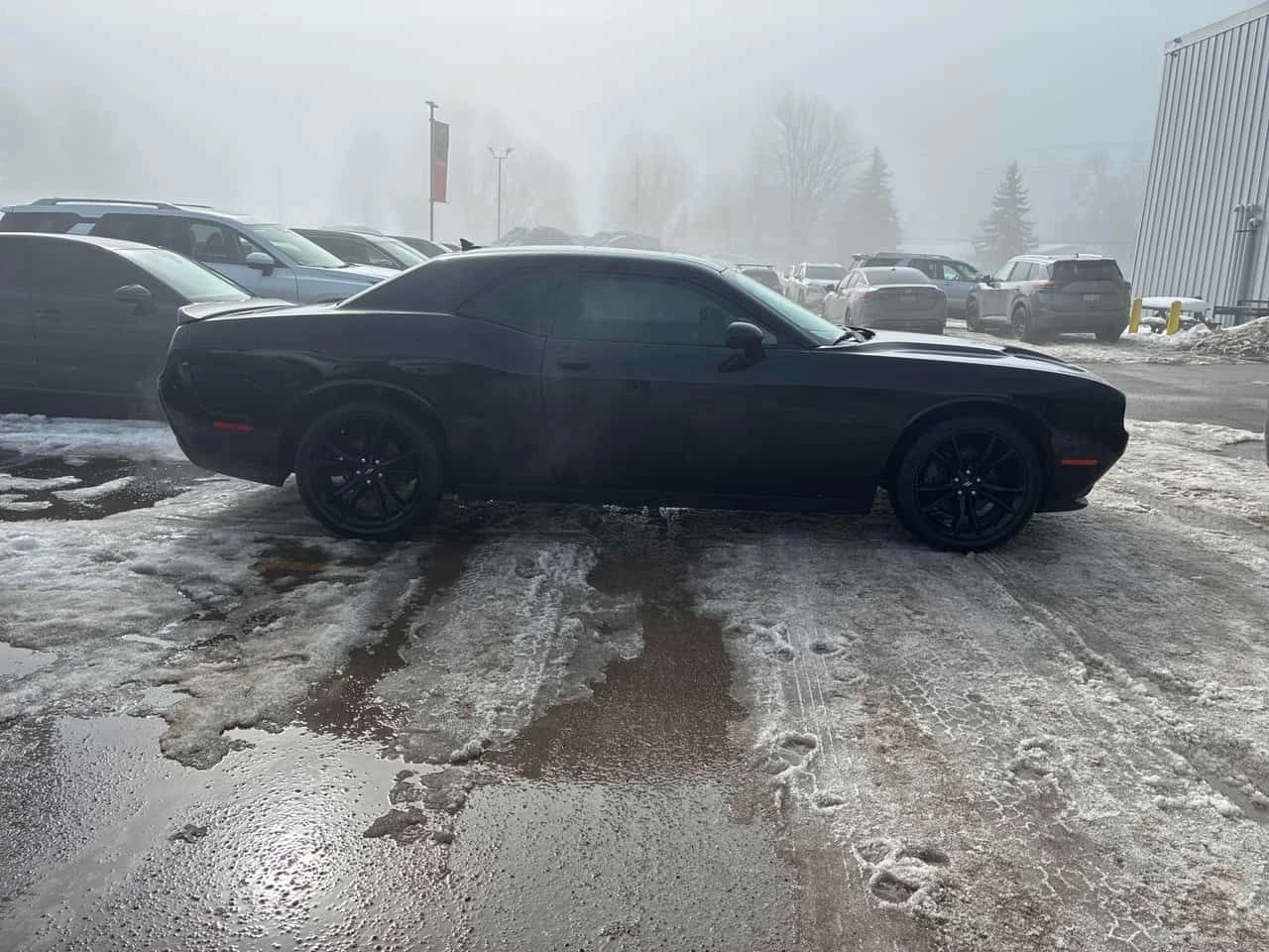 Dodge Challenger * SXT Plus * CARFAX * ЦЕНА ДО БГ - изображение 3