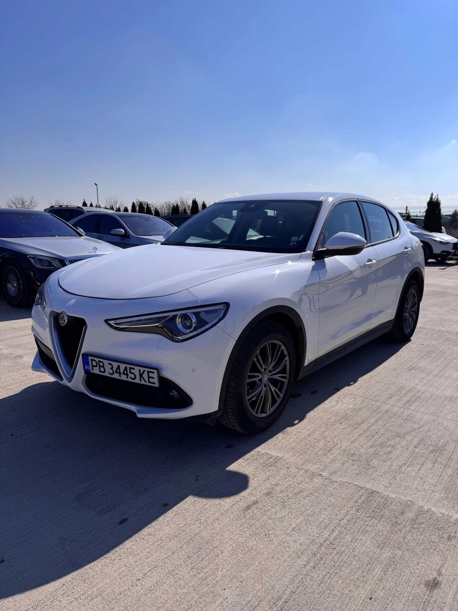Alfa Romeo Stelvio * 2.2* TOP* , снимка 1