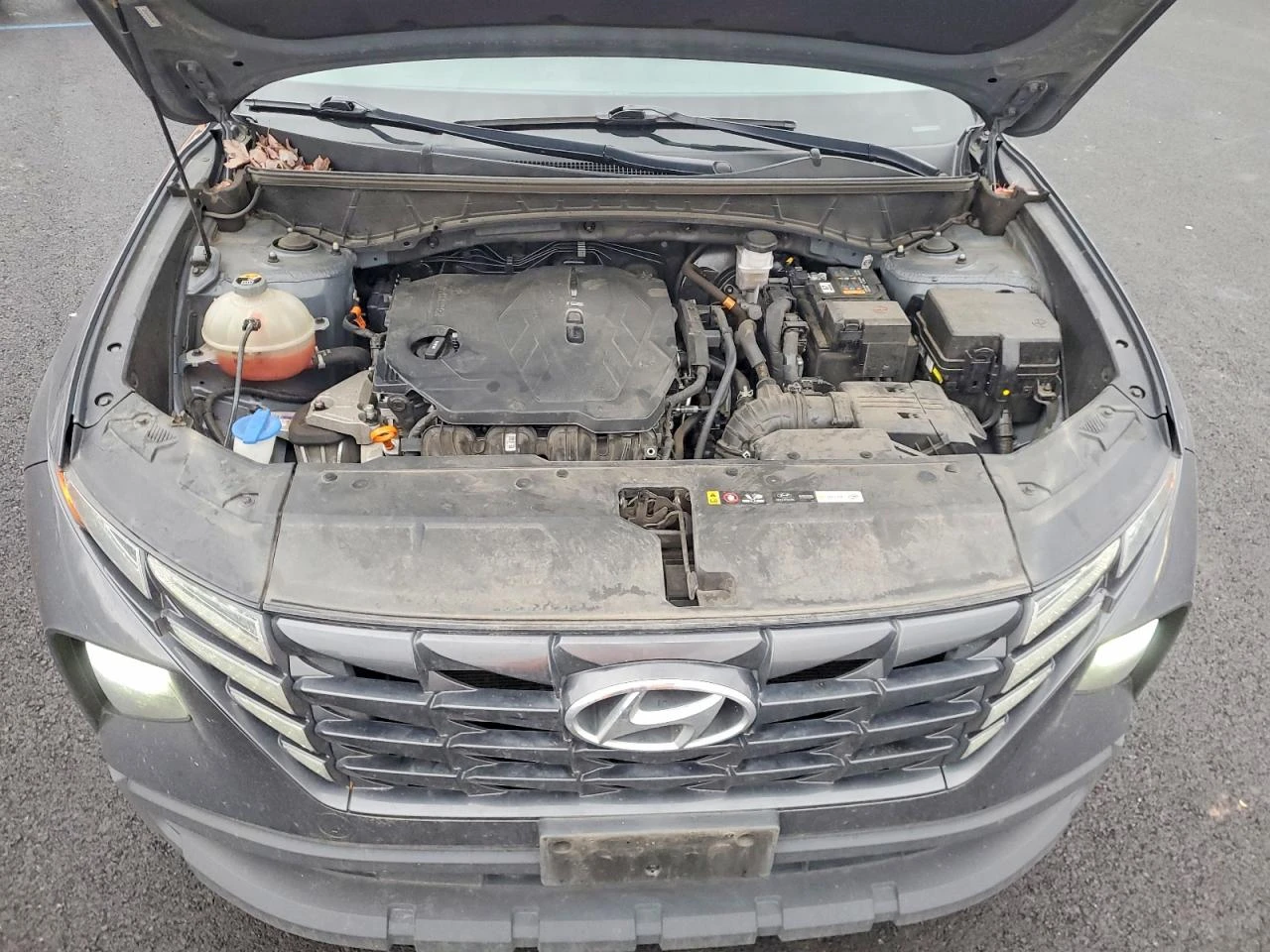 Hyundai Tucson 2.5l N Line | Mobile.bg � ����������� 12