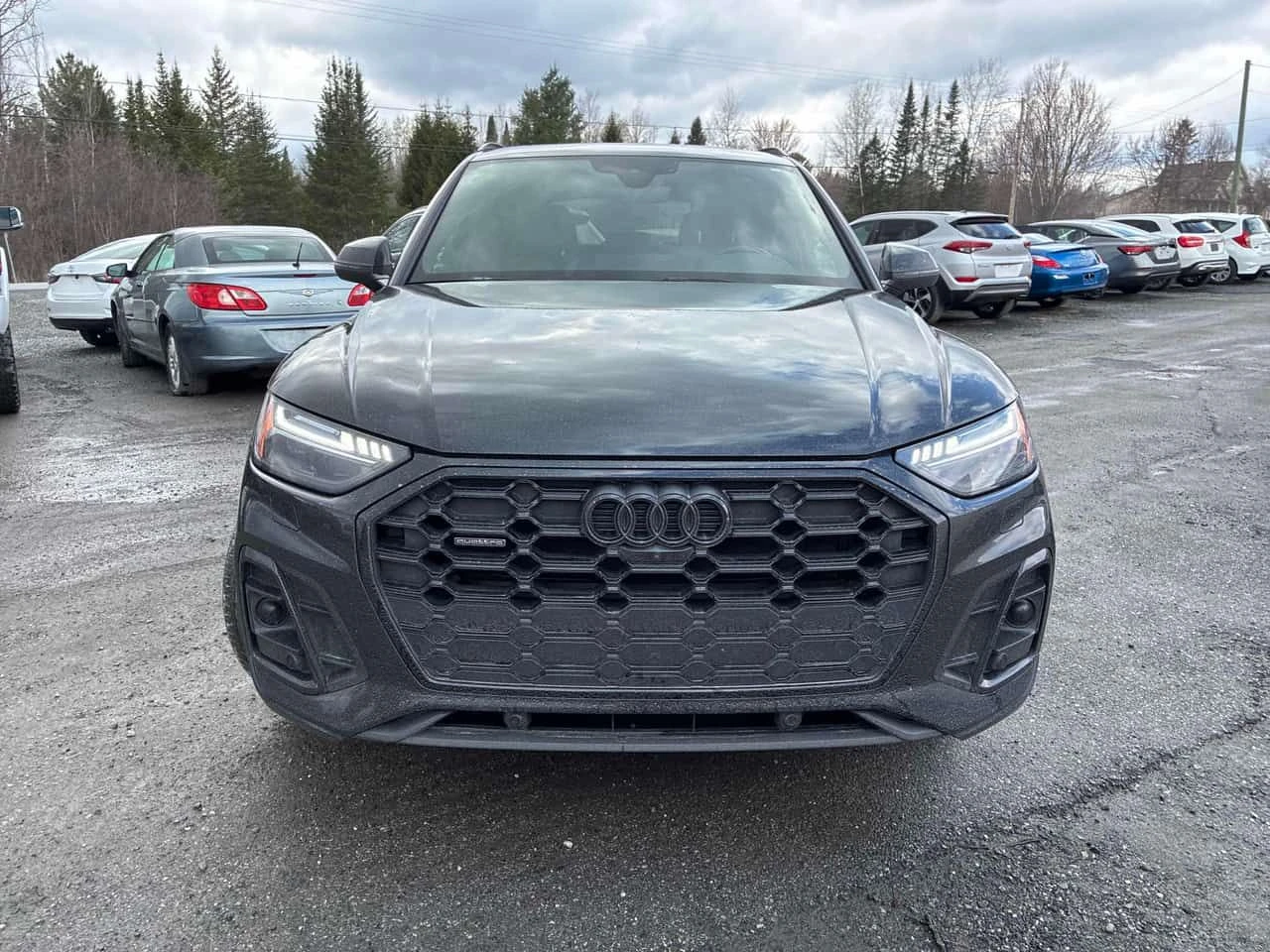 Audi Q5 Technik/ПАНОРАМА/ДИСТРОНИК/360, снимка 2 - Автомобили и джипове - 54718842