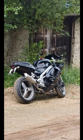 Triumph Daytona undefined | Auto.bg — изображение 3