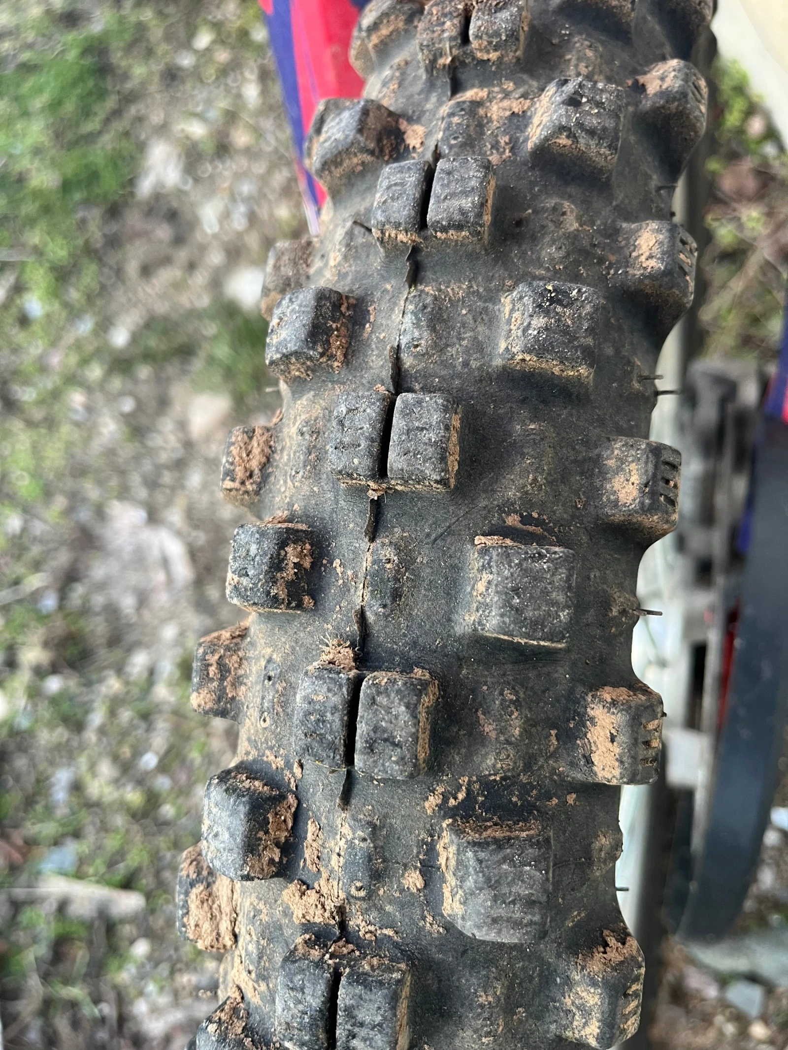 Beta Rr  - изображение 8