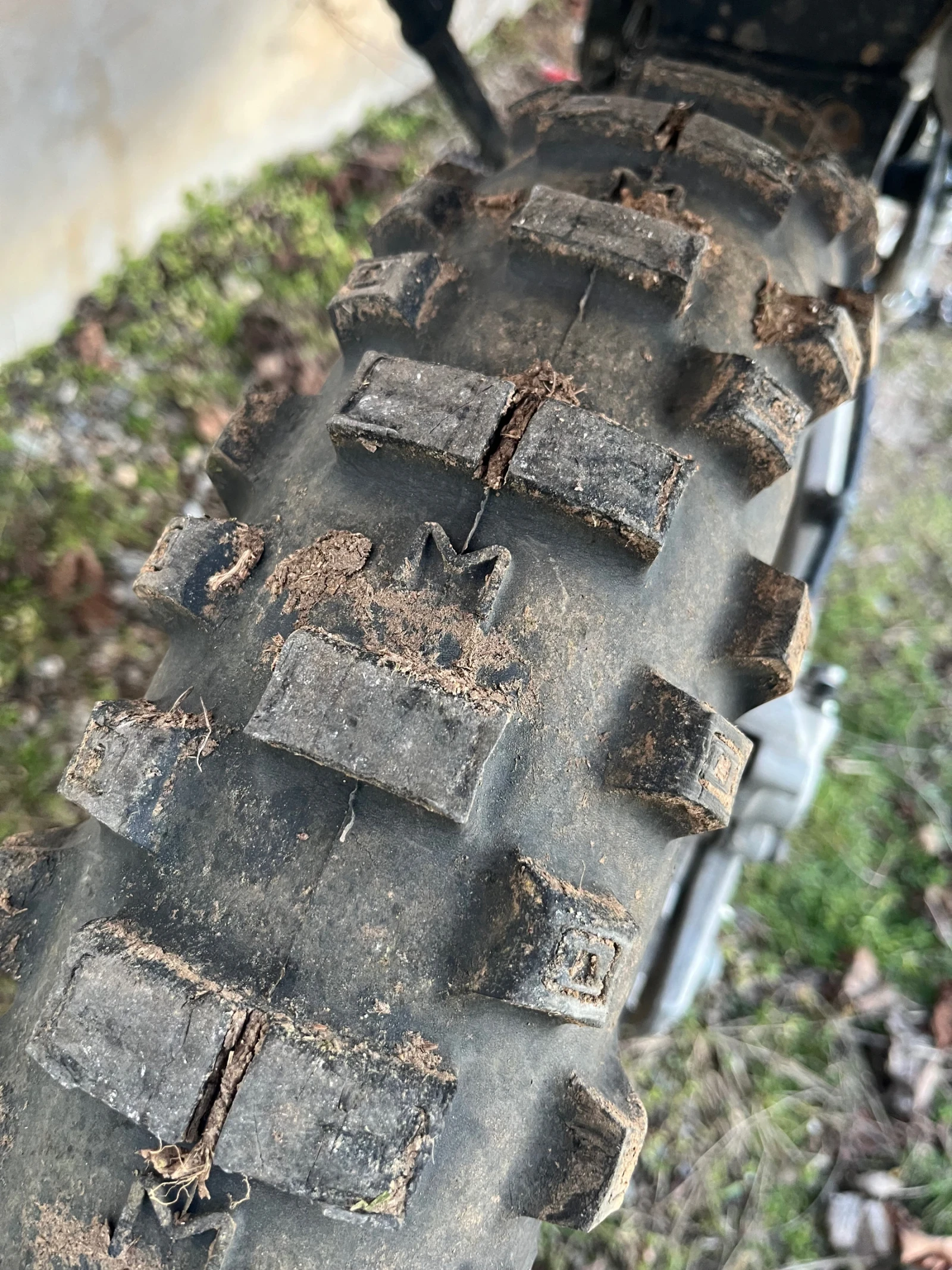 Beta Rr  - изображение 9