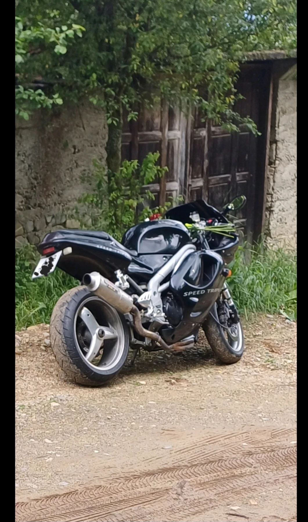 Triumph Daytona, снимка 3 - Мотоциклети и мототехника - 53839337