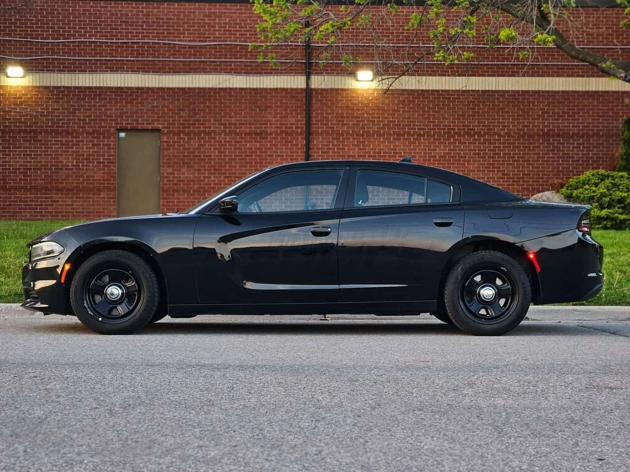 Dodge Charger * Must drive true Muscle V8 Rwd Quick 8 speed tran, снимка 7 - Автомобили и джипове - 54870957